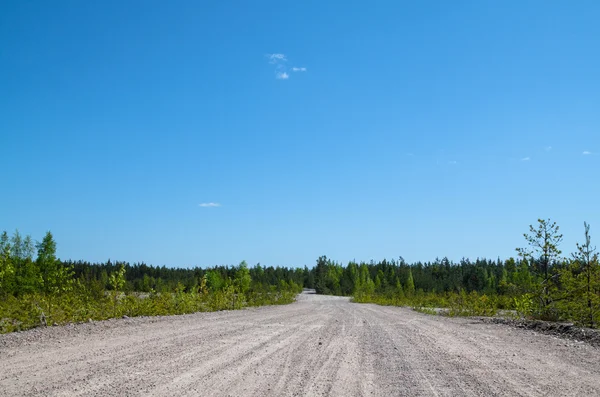 A estrada para a floresta — Fotografia de Stock