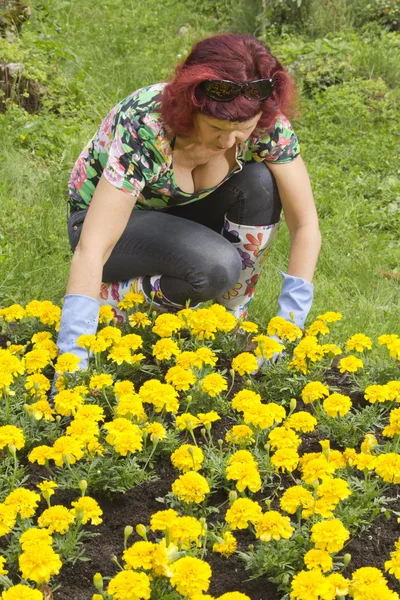 Lady doing some gardening — Stock Photo, Image