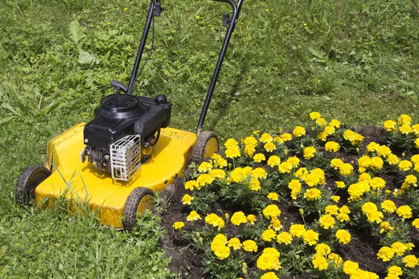 Yellow lawn mower and Marigolds — Stock Photo, Image