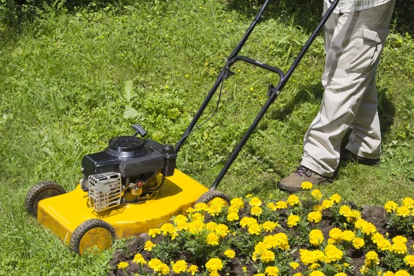 Man met de gele grasmaaier — Stockfoto