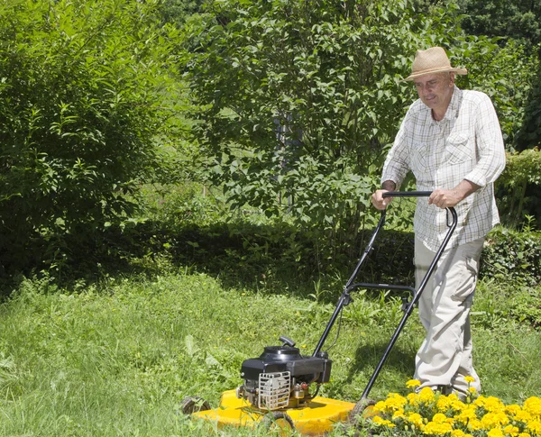 Человек средних лет стрижет траву. — стоковое фото