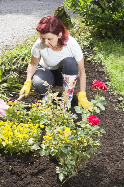 Women gardener arranging flowers — Stock Photo, Image