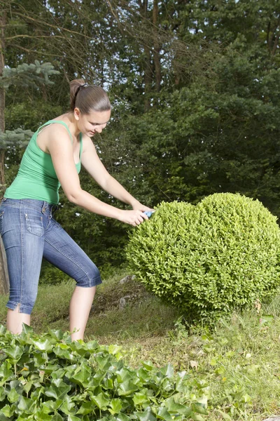 Cute girl cutting and trimming box tree heart — Stock Photo, Image