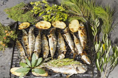 Fresh Mediterranean fishes on BBQ clipart