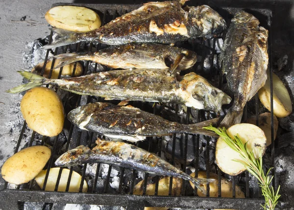 Fresh Mediterranean fishes BBQ with potatoes and rosemary — Stock Photo, Image