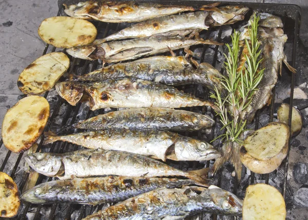 Verse mediterrane vissen bbq met aardappelen en rozemarijn — Stockfoto