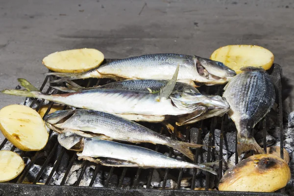 Fresh Mediterranean fishes before BBQ — Stock Photo, Image