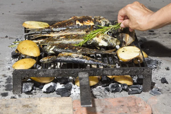Fresh Mediterranean fishes on traditional BBQ — Stock Photo, Image