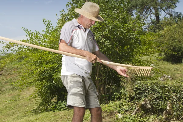 Man gras verwijderen uit houten hark — Stockfoto