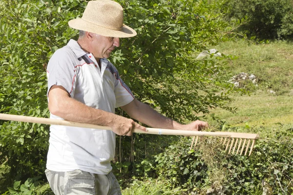 Muž odstranění trávy z dřevěné hrábě — Stock fotografie