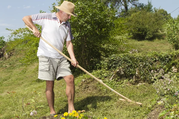 Homme d'âge moyen ratissant le jardin — Photo