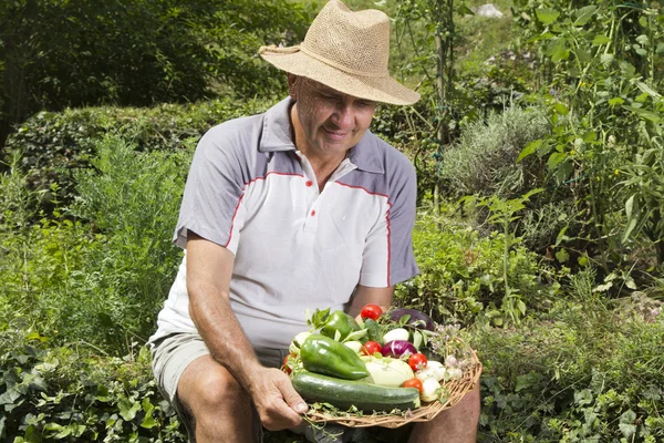 Közép kor smilling ember mutatja a friss zöldségek — Stock Fotó