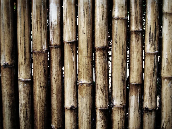 Grunge fundo de bambu — Fotografia de Stock