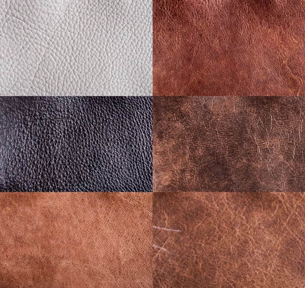 Samling av läder texturer — Stockfoto