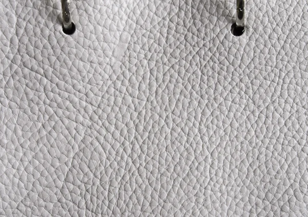 Anil soft grey leather — Stock Photo, Image