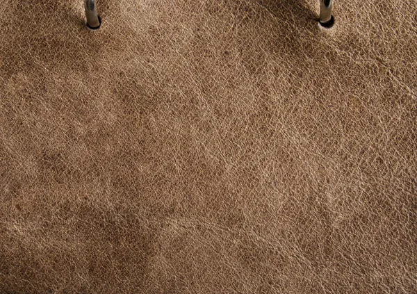 平托淡棕色皮革 — 图库照片