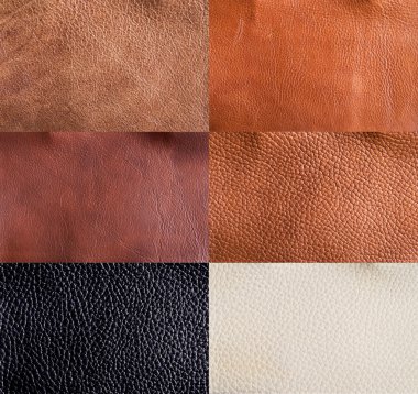 Leather textures collection clipart