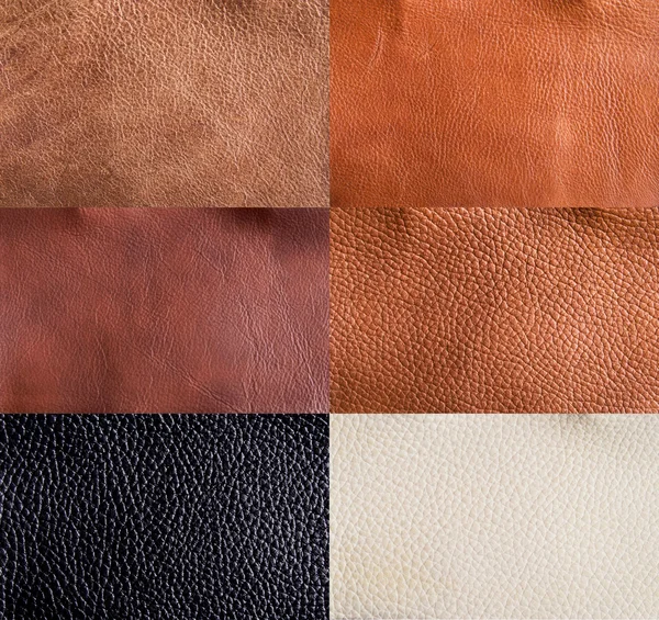 Läder texturer collection — Stockfoto