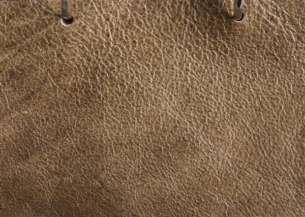 Pinto brown leather — Stock Photo, Image