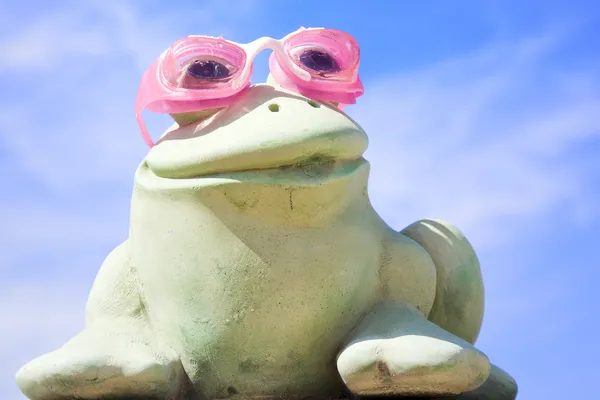 Плавець жаба — стокове фото
