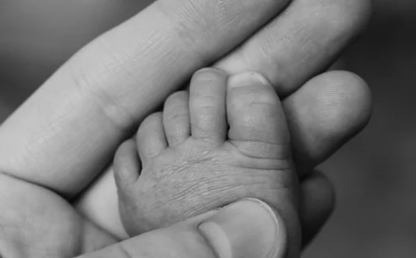 stock image Baby foot against adult hand