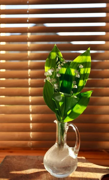 Lily-of-the-valley window — Stock Photo, Image