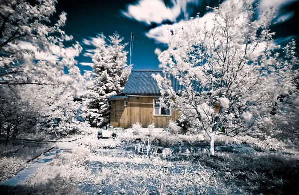 Hus i byn infraröd — Stockfoto