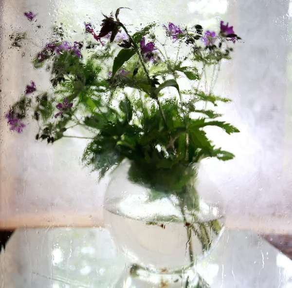 Wassertropfen auf Blumen Hintergrund — Stockfoto
