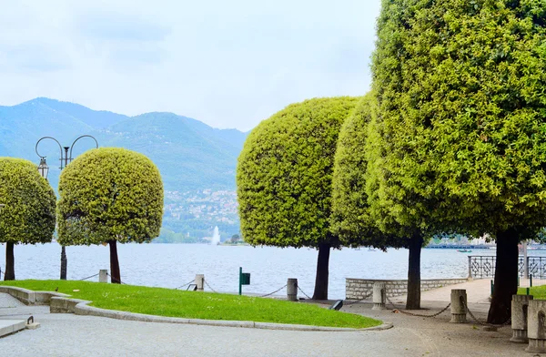 Lago di Como, alberi in un giardino sul lungolago. Italia, Europa . — Foto Stock