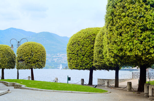 Como lake, trees in a garden on lakeside. Italy, Europe.