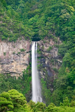 Nachi waterfall nature forest landscape. Kumano, Kansai, Japan, clipart