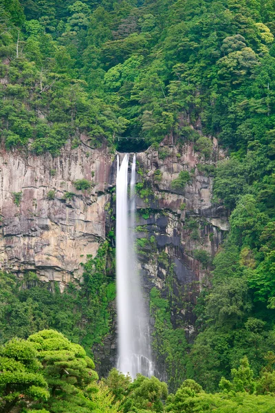 stock image Nachi waterfall nature forest landscape. Kumano, Kansai, Japan,