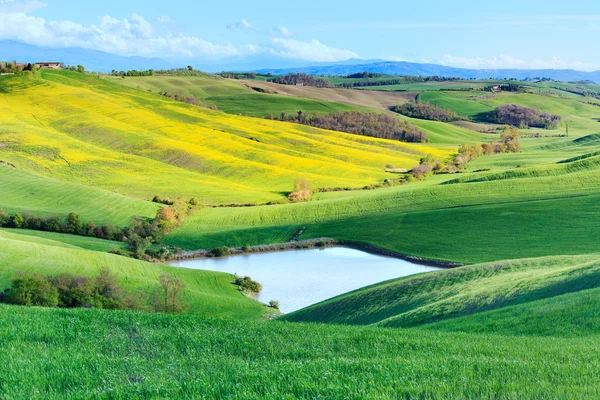 Toszkána, Crete Senesi vidéki táj, Olaszország. Tó zöld, sárga — Stock Fotó