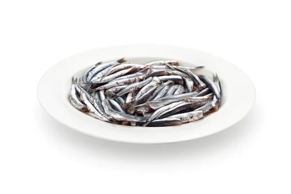 Anchovas frescas preparadas prato de frutos do mar e sombra no backgr branco — Fotografia de Stock