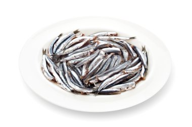 Fresh anchovies prepared seafood dishware shadow white backgroun clipart