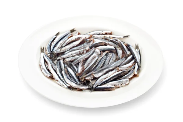 Fresh anchovies prepared seafood dishware shadow white backgroun — Stock Photo, Image