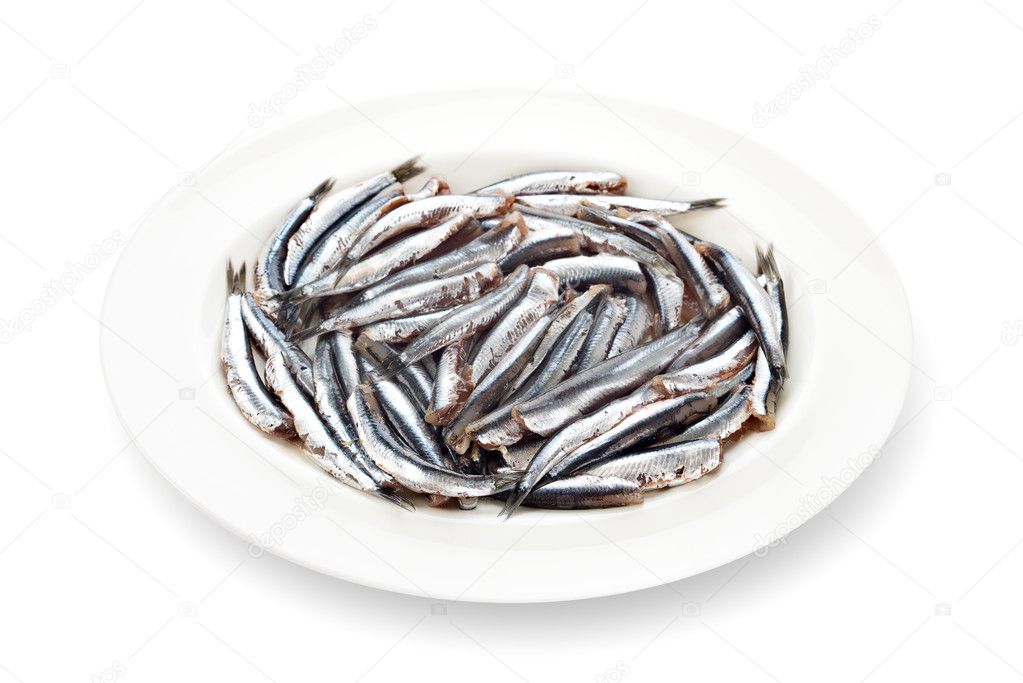 Fresh anchovies prepared seafood dishware shadow white backgroun