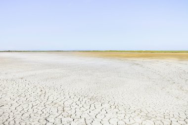 Camargue rhone park peyzaj, toprak kuraklık ve ufuk. provenc