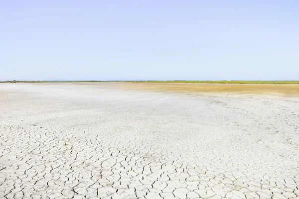 Camargue Rhone Park paisaje, sequía del suelo y horizonte. Provenc — Foto de Stock