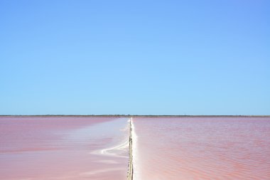 Camargue, peyzaj giraud pembe tuz daireler. Rhône, provence, fra