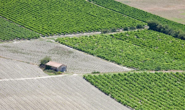 Szőlőültetvények sorok, vidéki kunyhó légifelvételek. Provence, Franciaország — Stock Fotó