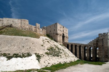 Magnificent Aleppo citadel in Syria clipart