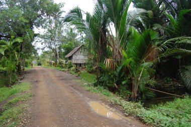 Gravel road in village Papua New Guinea clipart