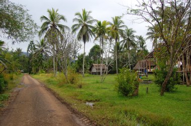 Village in Papua New Guinea clipart