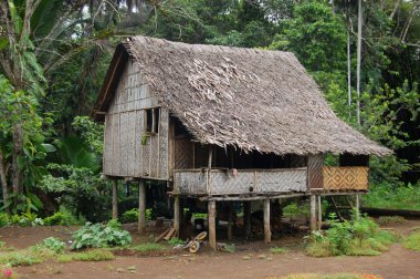 House in village Papua New Guinea clipart