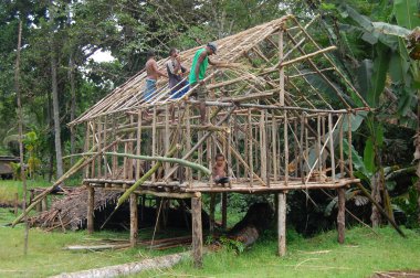 Men building the house Papua New Guinea clipart