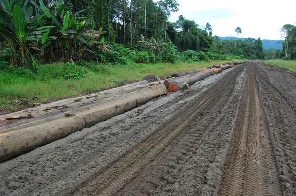 Godstransporter på väg i outback i papua nya guinea — Stockfoto