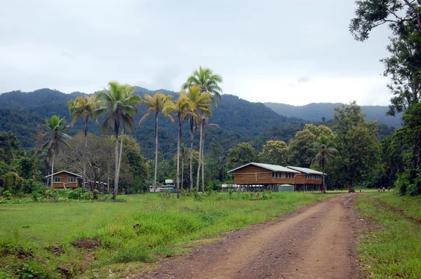 Dorp in Papoea-Nieuw-guinea — Stockfoto