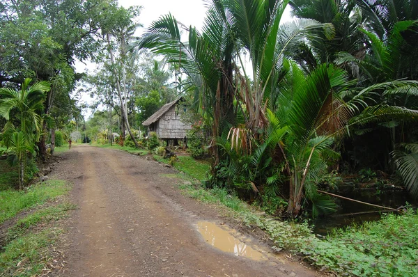 Onverharde weg in dorp Papoea-Nieuw-guinea — Stockfoto