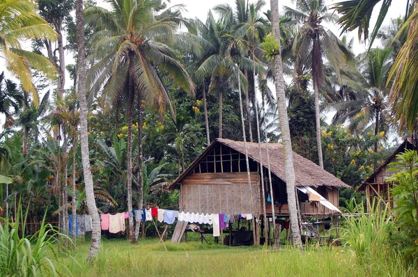 Дом в деревне Папуа - Новая Гвинея — стоковое фото